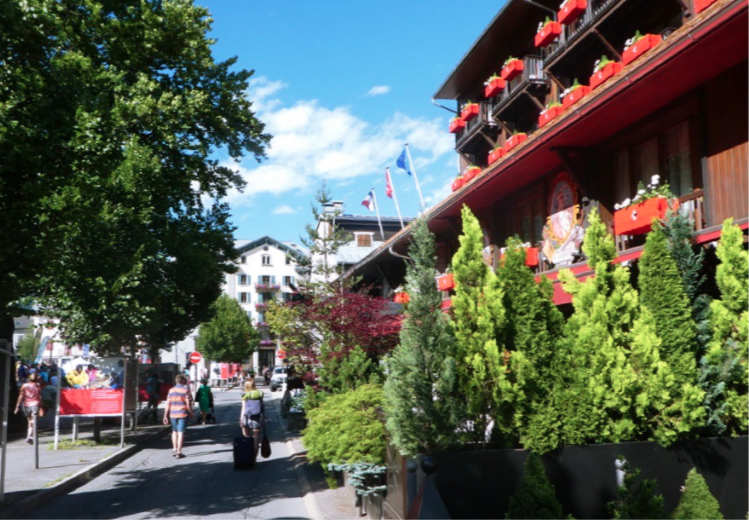 green plants decorating street