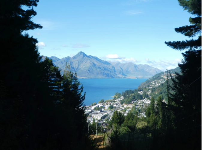 blue lake as seen from between trees