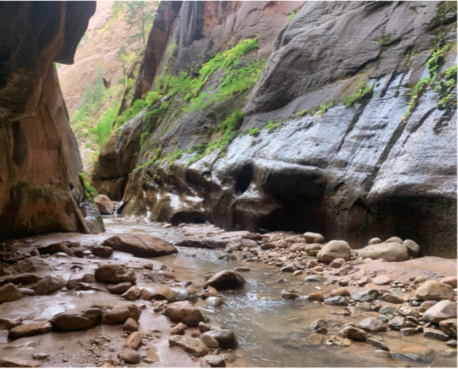 brown rocks in the river