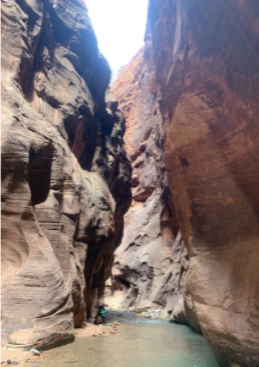 how to prepare for the narrows hike? read more for advice on the best things to pack when hiking the narrows.