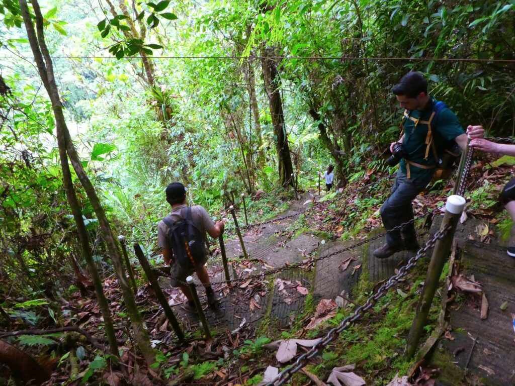 steep hike with person using hiking stick