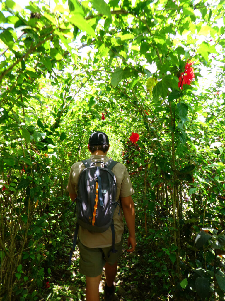 guide with backpack walking through flowers