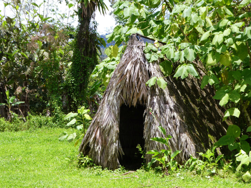 maleku indigenous straw triangle structure