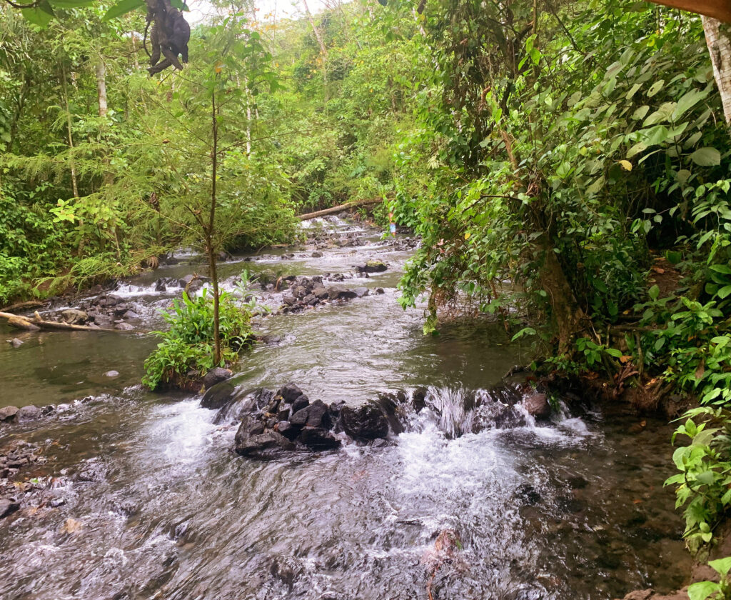 natural hot springs in the river in forest of la fortuna