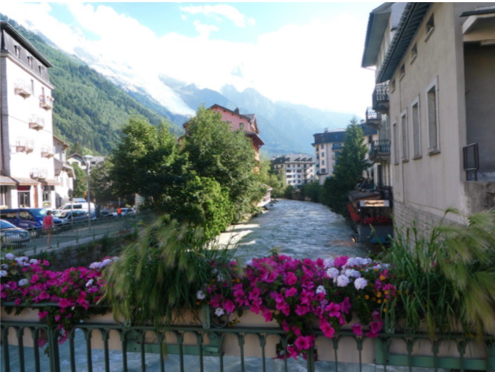 flower boxes in front of light blue river with buildings along the side