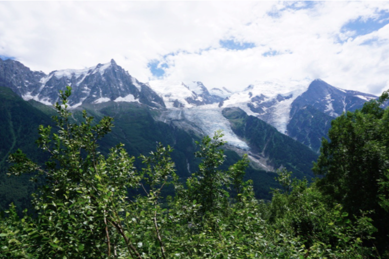 snow capped mont blanc with tree tops