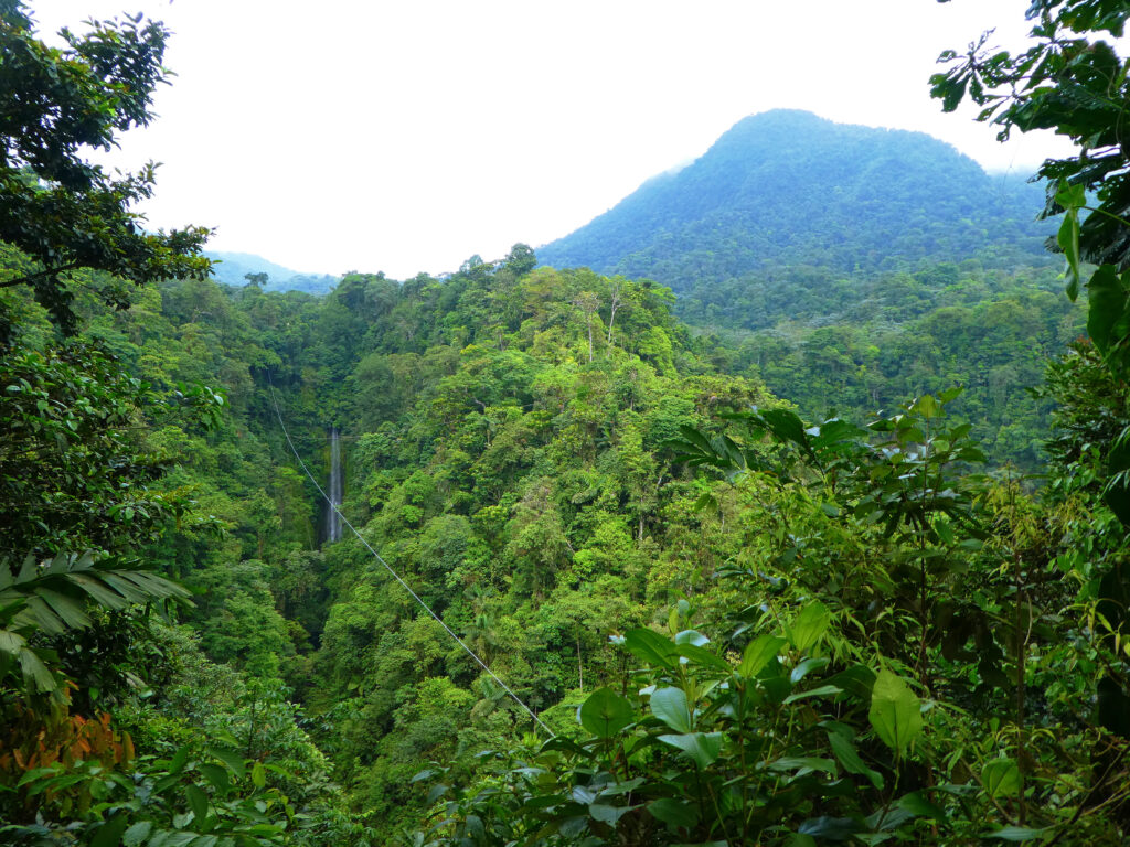 rainforest canopies in la fortuna on cloudy day
