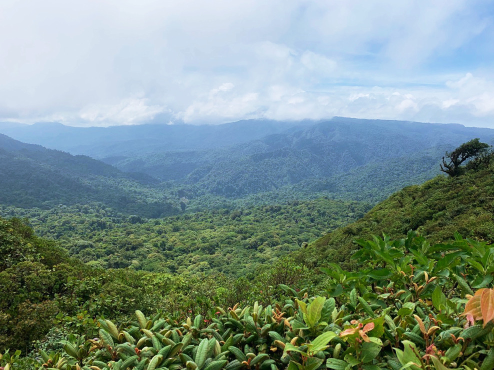 one day in monteverde costa rica; is monteverde worth visiting; full day monteverde travel guide; monteverde cloud forest reserve