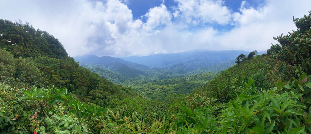 The Monteverde Cloud Forest Reserve, Costa Rica | Know Before You Go