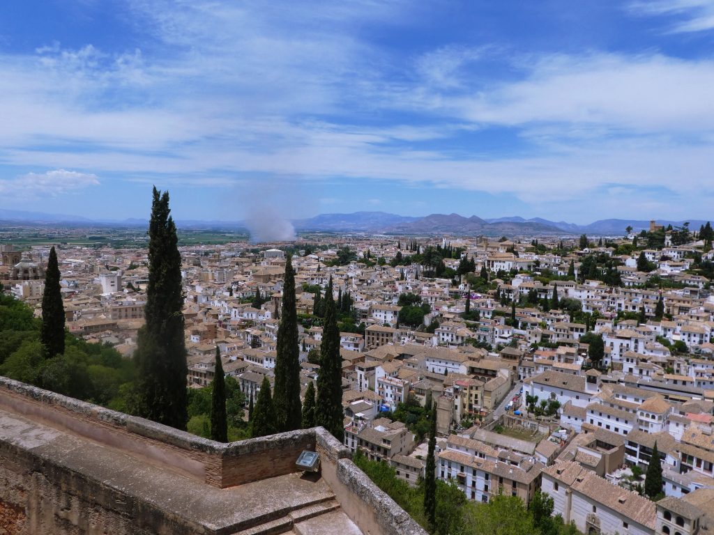 miles of white houses with tan roofs and tall skinny trees