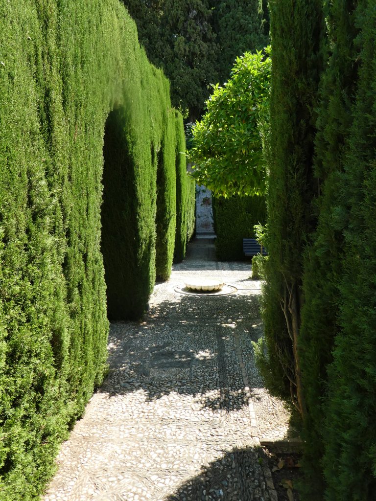 arch doorway made of green bush