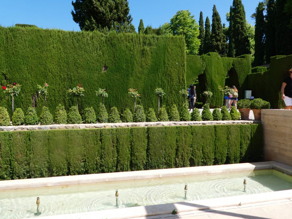 green plant wall made of tall skinny bushes