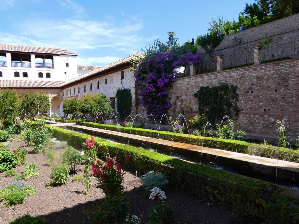 garden half hidden by shade with flowers and a building