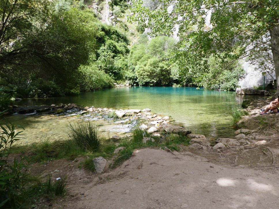 shallow clear water lake that moves from green to blue with green trees