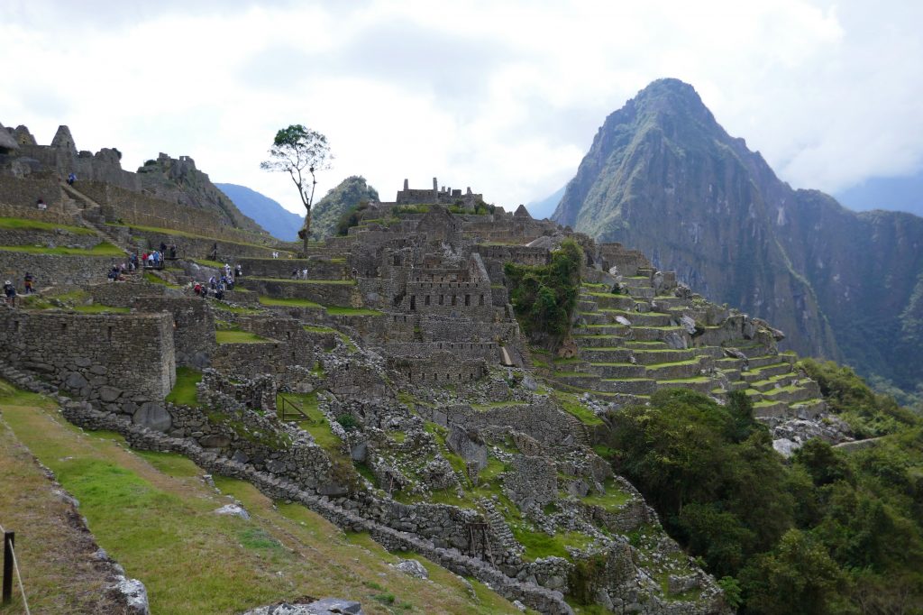 machu picchu stone walls and outline of rooms
