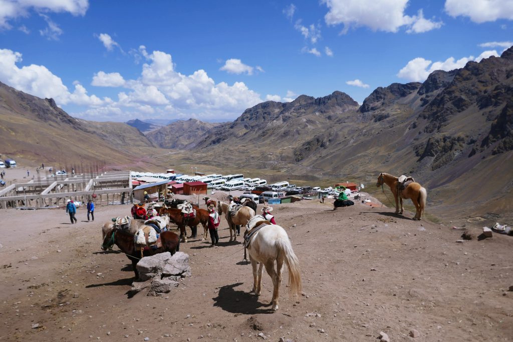 going to rainbow mountain on horses from cusco peru