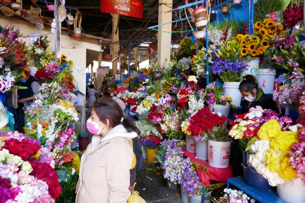 a woman shopping for flowers in san pedro market surrounded by bundles of flowers