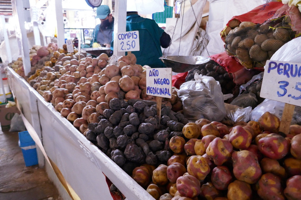 piles of potatoes of different colors and species in the aisle of san pedro market in cusco peru