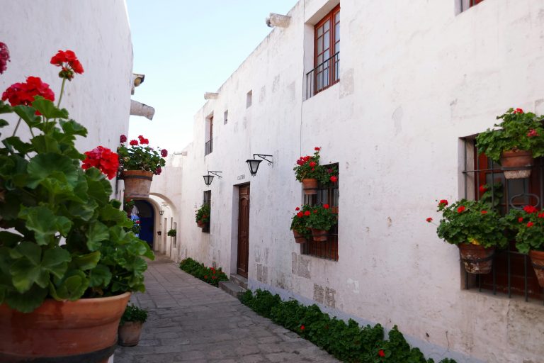 white stone alley way with potted flowers on the windows