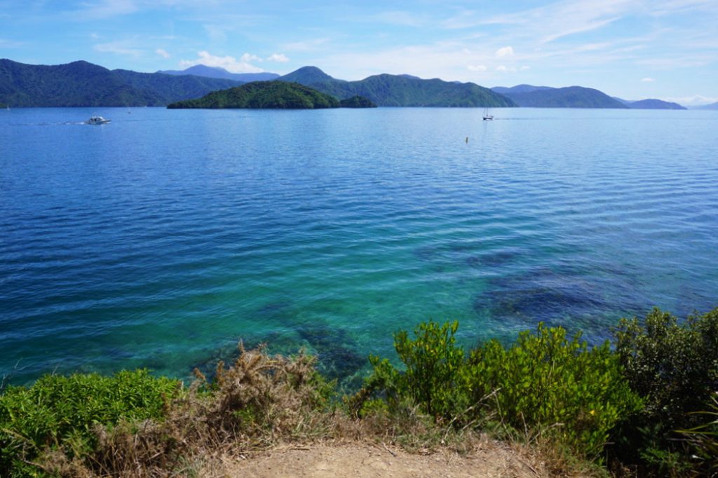 ripples in blue water