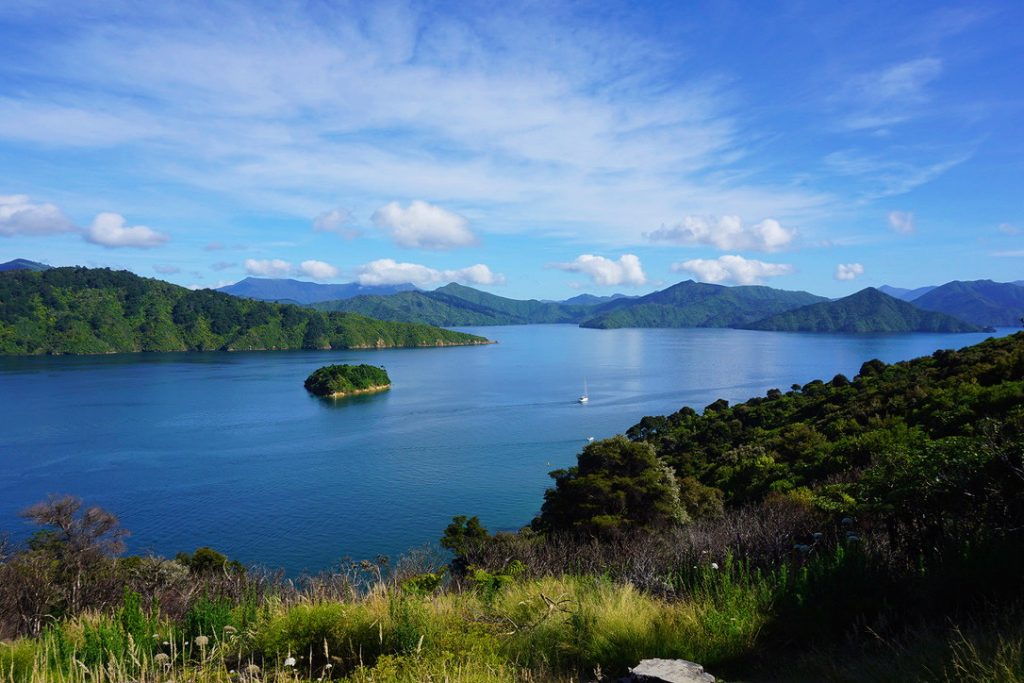 green island in the blue sound with green mountains