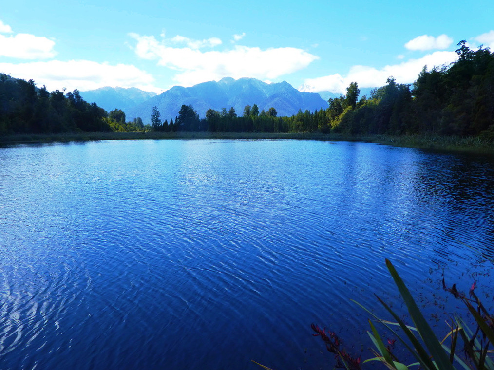 deep blue water with small line of green trees