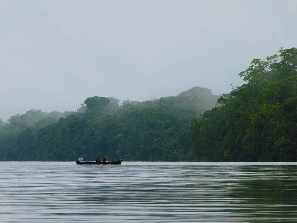 lone canoe on a foggy day on the water lined with dense green rainforest