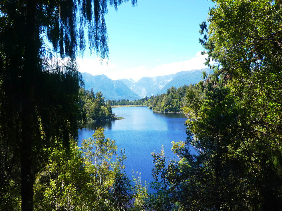 view of lake matheson framed between green trees