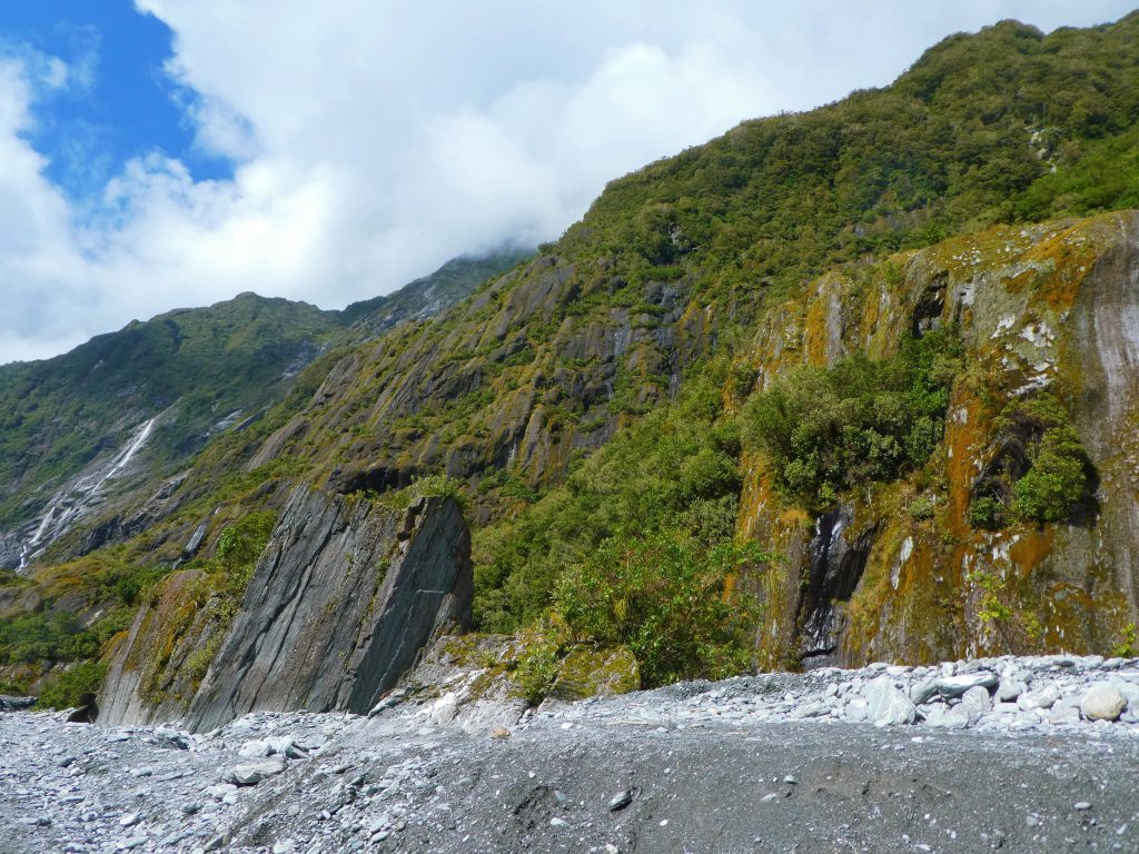 beautiful moss in franz josef glacier new zealand's stone valley
