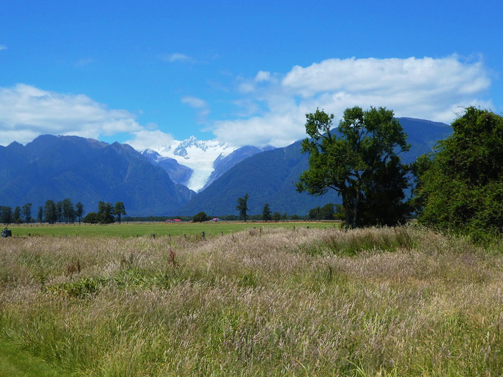 high grass field in front of mount cook