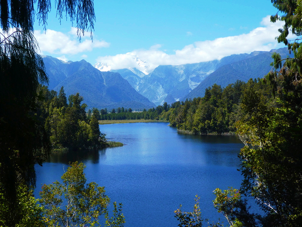 beautifully blue lake matheson surrounded by dark green pines