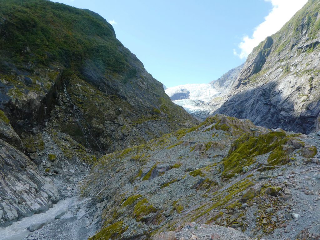 sunlight hitting franz josef glacier behind moss covered mountain