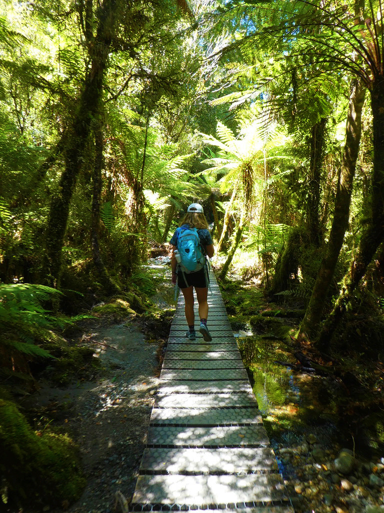 girl walking through ferns while hiking