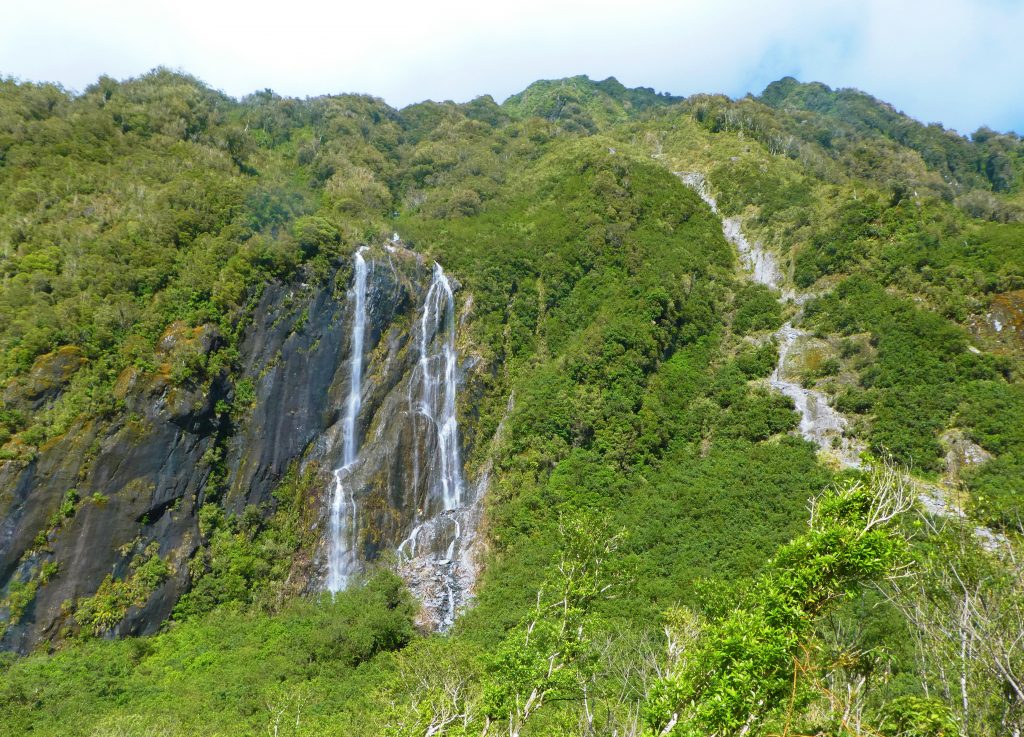 waterfalls streaming through green trees