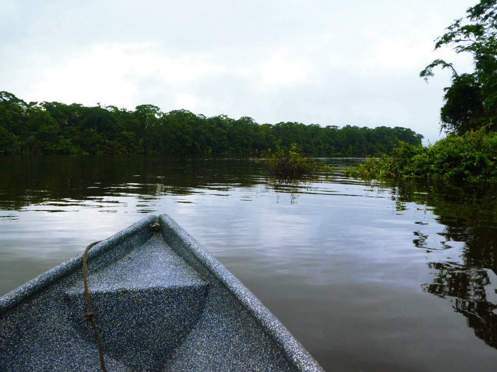 point of view looking out towards the water from the helm of a canoe