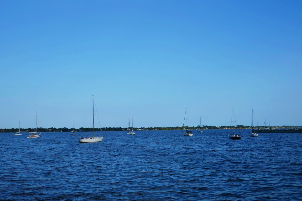 white sail boats scattered throughout deep blue ocean water on a clear day
