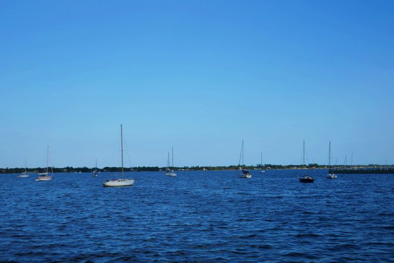 indian harbor with boats sailing on water