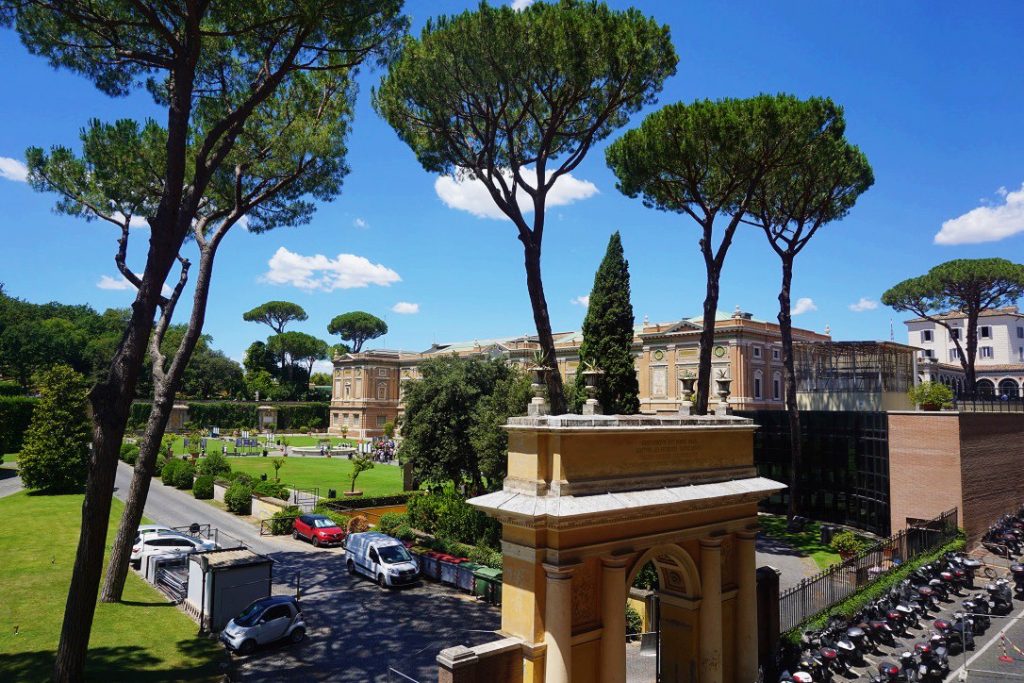 trees above the vatican