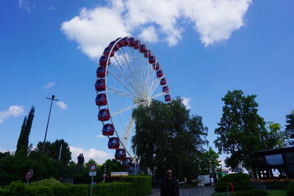 ferris wheel behind a tree