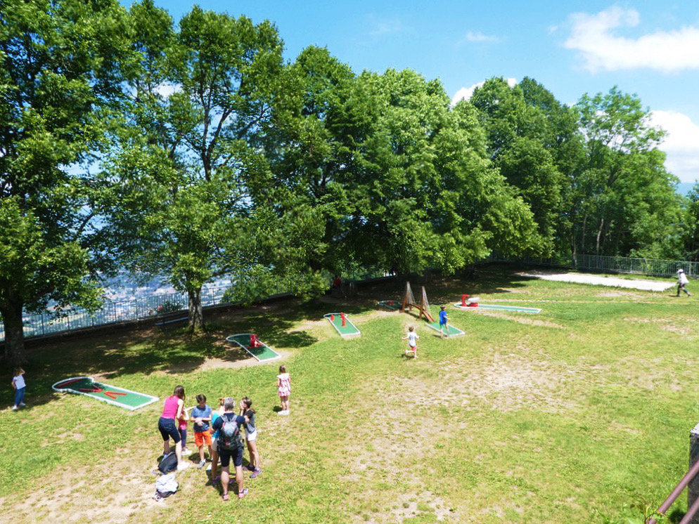 people walking in grassy field with trees