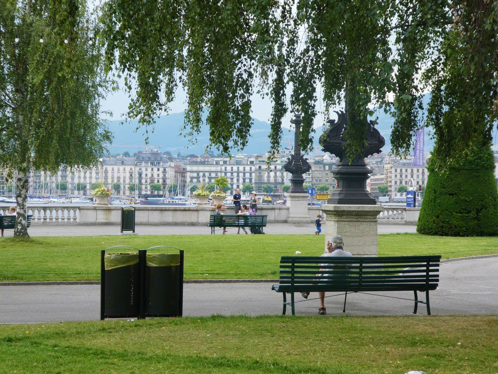 man sitting on a bench with tree leaves hanging above him