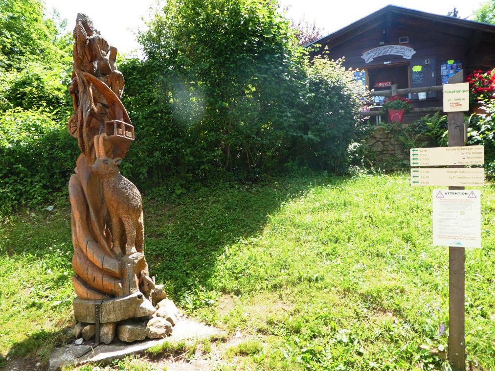 wooden statue in grass field