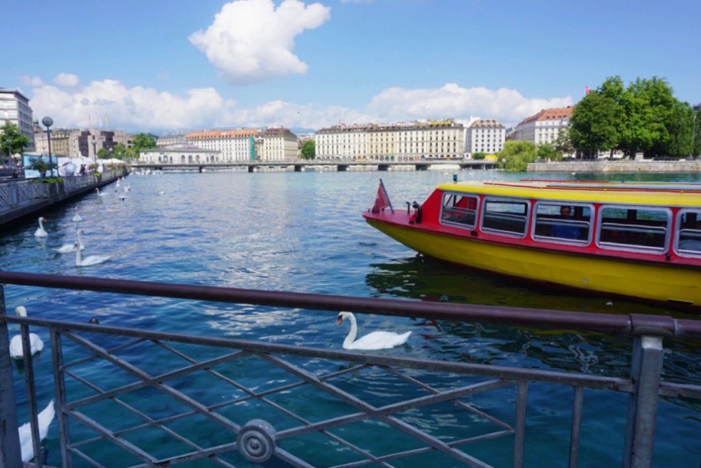 swan next to mouette boat