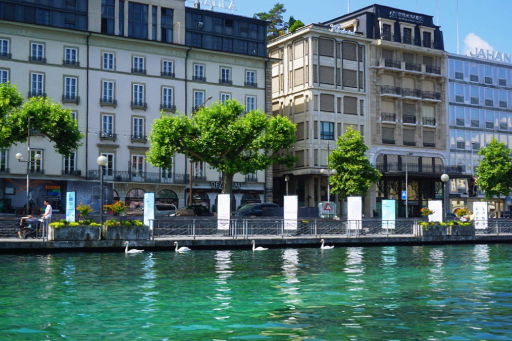 green water with boardwalk