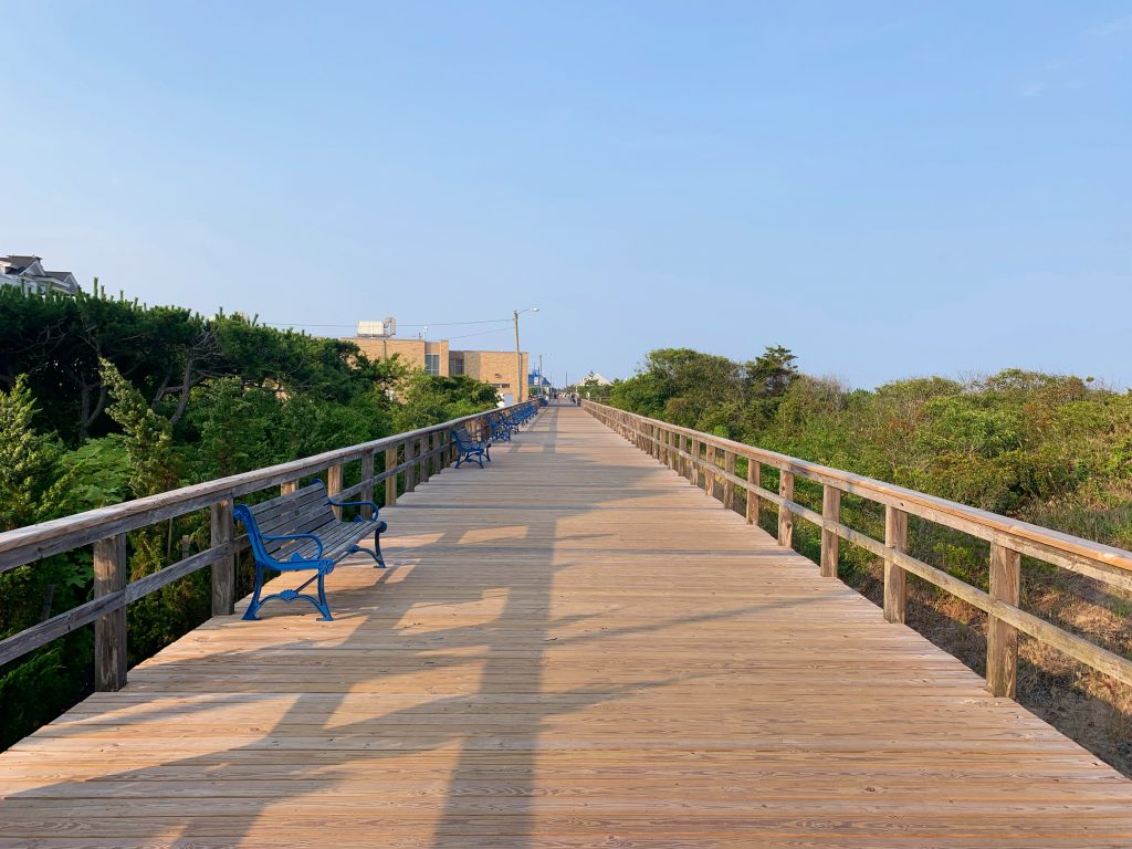 wooden boardwalk between green plants without people