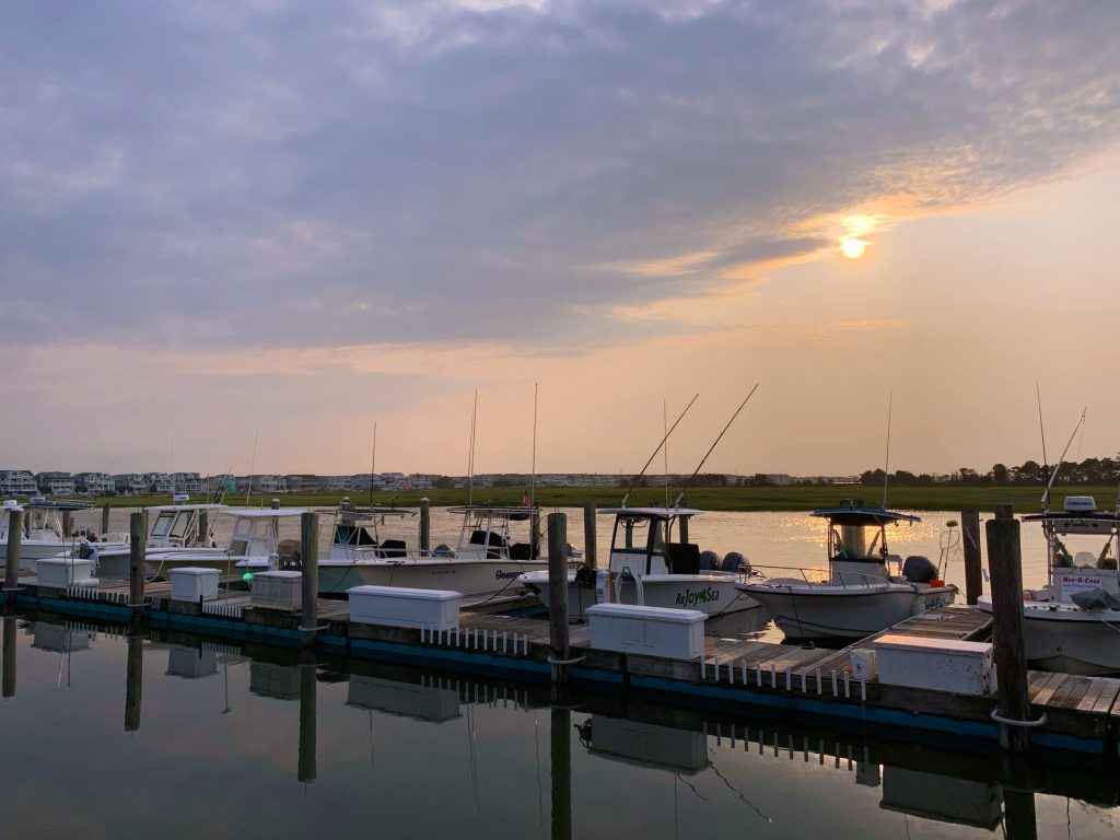 boats and yachts in marina at sunset