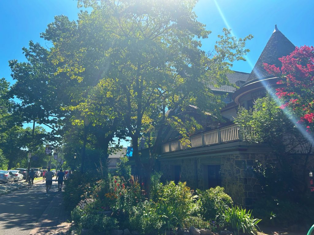 boathouse in the daytime along boathouse row