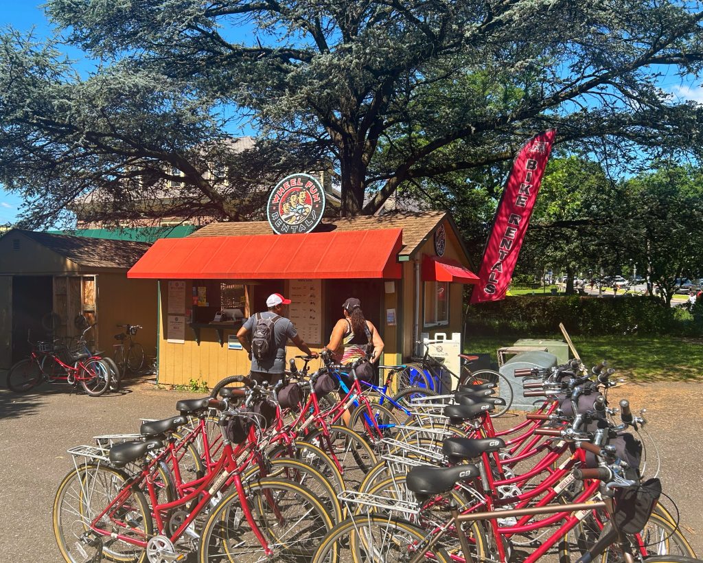 wheel fun bike rental with rows of red bikes