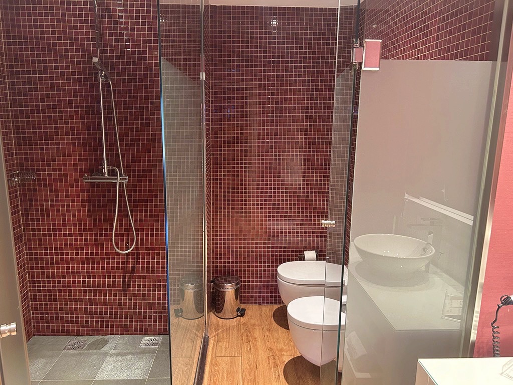 bathroom with toilet and shower