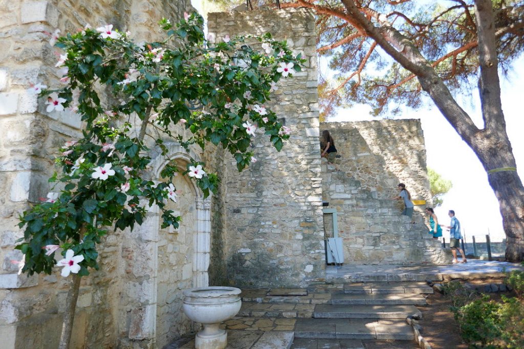 green flowered tree and a fountain at saint george's castle